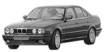 BMW E34 P3130 Fault Code